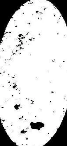 Cave painting: Covid Test