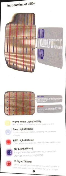 Cave painting: LED Stretch